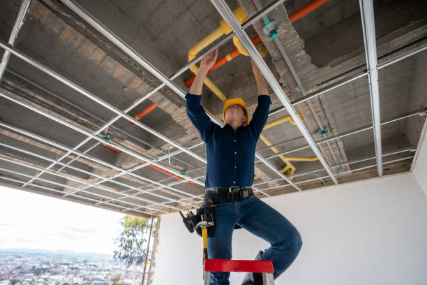 Best Plumbing Inspection Services  in Tichigan, WI