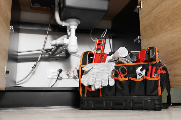 Best Toilet Repair Services  in Tichigan, WI