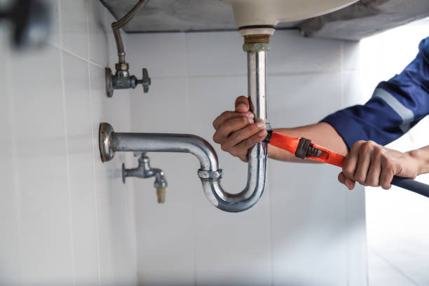 Best Clogged Drain Plumber  in Tichigan, WI