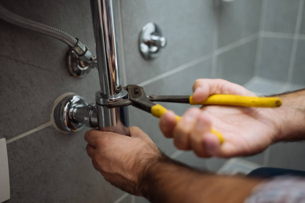 Best Commercial Plumbing Services  in Tichigan, WI